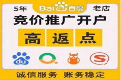 百度竞价排名机制：成功案例与策略探讨